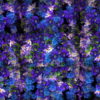 Natural-Beautiful-Violet-Purple-Blue-Flowers-Flying-Up-Concert-Wedding-Decorations-mpm4gf-1920 VJ Loops Farm