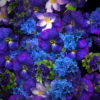 vj video background Natural-Beautiful-Violet-Purple-Blue-Flowers-Flying-Up-Concert-Wedding-Decorations-mpm4gf-1920_003