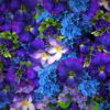 Natural-Beautiful-Violet-Purple-Blue-Flowers-Flying-Up-Concert-Wedding-Decorations-mpm4gf-1920_005 VJ Loops Farm