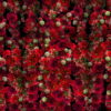 Numerous-Red-Flowers-Slowly-Flying-Upward-on-Looped-Motion-Background-ycrauh-1920 VJ Loops Farm