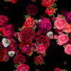 Pink-Red-Roses-Bouquets-Flying-up-Right-Motion-Background-xxfe91-1920_001 VJ Loops Farm