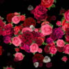 vj video background Pink-Red-Roses-Bouquets-Flying-up-Right-Motion-Background-xxfe91-1920_003