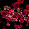 vj video background Pink-and-Purple-Red-Flowers-Flow-Looped-Motion-Background-qn7owm-1920_003