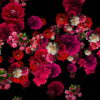 Pink-and-Purple-Red-Flowers-Flow-Looped-Motion-Background-qn7owm-1920_005 VJ Loops Farm