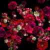 Pink-and-Purple-Red-Flowers-Flow-Looped-Motion-Background-qn7owm-1920_006 VJ Loops Farm