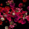 Pink-and-Purple-Red-Flowers-Flow-Looped-Motion-Background-qn7owm-1920_008 VJ Loops Farm