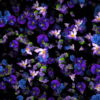 Rainfall-of-Violets-flowers-looped-movement-Motion-Background-kelorp-1920_002 VJ Loops Farm