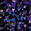 Rainfall-of-Violets-flowers-looped-movement-Motion-Background-kelorp-1920_006 VJ Loops Farm