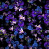 Rainfall-of-Violets-flowers-looped-movement-Motion-Background-kelorp-1920_007 VJ Loops Farm