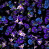 Rainfall-of-Violets-flowers-looped-movement-Motion-Background-kelorp-1920_008 VJ Loops Farm