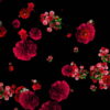 Red-Carnation-Bouquets-Slowly-Falling-Motion-Background-iyn6tc-1920_006 VJ Loops Farm