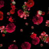 Red-Carnation-Bouquets-Slowly-Falling-Motion-Background-iyn6tc-1920_007 VJ Loops Farm