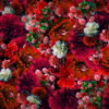 Red-Spring-Flowers-Counter-move-Flows-Motion-Decoration-Background-lubgxp-1920_004 VJ Loops Farm