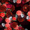 Roses-Flowers-Different-Directions-Flow-Looped-Concert-Decorations-vvq38w-1920_001 VJ Loops Farm