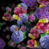 Spring-Flowers-Bouquets-Falling-Down-Motion-Background-ongpol-1920_005 VJ Loops Farm
