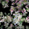 Spring-Fruit-Trees-Flowers-with-Leaves-Flow-to-the-Side-Scene-Decoration-njc9gb-1920_006 VJ Loops Farm