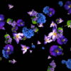 vj video background Violet-and-Blue-Flowers-Slowly-Falling-Down-on-Black-Background-zxq9aa-1920_003