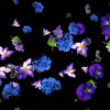 Violet-and-Blue-Flowers-Slowly-Falling-Down-on-Black-Background-zxq9aa-1920_004 VJ Loops Farm