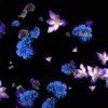 Violet-and-Blue-Flowers-Slowly-Falling-Down-on-Black-Background-zxq9aa-1920_006 VJ Loops Farm