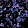 Violet-bouquets-of-small-flowers-falling-down-looped-scene-decorations-rcbpt6-1920_006 VJ Loops Farm