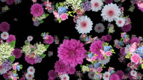 vj video background Wedding-Flowers-Festive-Bouquets-Floating-to-the-Right-Looped-Motion-Background-2zckdx-1920_003