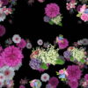 Wedding-Flowers-Festive-Bouquets-Floating-to-the-Right-Looped-Motion-Background-2zckdx-1920_005 VJ Loops Farm
