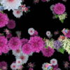 Wedding-Flowers-Festive-Bouquets-Floating-to-the-Right-Looped-Motion-Background-2zckdx-1920_006 VJ Loops Farm