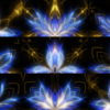 Abstract-Fly-Flower-Flow-in-Blue-Golden-Light-Video-Art-UHD-VJ-Loop-agtoh7-1920 VJ Loops Farm