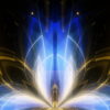 Abstract-Fly-Flower-Flow-in-Blue-Golden-Light-Video-Art-UHD-VJ-Loop-agtoh7-1920_001 VJ Loops Farm