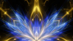 Abstract-Fly-Flower-Flow-in-Blue-Golden-Light-Video-Art-UHD-VJ-Loop-agtoh7-1920_002 VJ Loops Farm