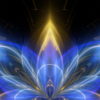 Abstract-Fly-Flower-Flow-in-Blue-Golden-Light-Video-Art-UHD-VJ-Loop-agtoh7-1920_004 VJ Loops Farm