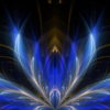 Abstract-Fly-Flower-Flow-in-Blue-Golden-Light-Video-Art-UHD-VJ-Loop-agtoh7-1920_007 VJ Loops Farm