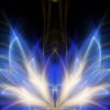 Abstract-Fly-Flower-Flow-in-Blue-Golden-Light-Video-Art-UHD-VJ-Loop-agtoh7-1920_008 VJ Loops Farm