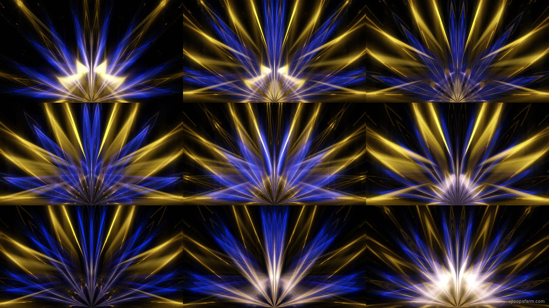 Abstract Sun Flower Flow in Blue-Golden Light Video Art UHD VJ Loop