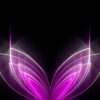 Abstract-Tulpan-Violet-Pink-Video-Art-Ultra-HD-VJ-Loop-i9vt4h-1920_005 VJ Loops Farm