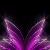Abstract-Tulpan-Violet-Pink-Video-Art-Ultra-HD-VJ-Loop-i9vt4h-1920_006 VJ Loops Farm