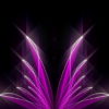 Abstract-Tulpan-Violet-Pink-Video-Art-Ultra-HD-VJ-Loop-i9vt4h-1920_007 VJ Loops Farm