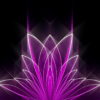 Abstract-Tulpan-Violet-Pink-Video-Art-Ultra-HD-VJ-Loop-i9vt4h-1920_008 VJ Loops Farm