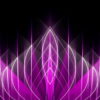 vj video background Abstract-Violet-Pink-Lines-Video-Art-Ultra-HD-VJ-Loop-j7gcix-1920_003