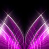 Abstract-Violet-Pink-Lines-Video-Art-Ultra-HD-VJ-Loop-j7gcix-1920_009 VJ Loops Farm