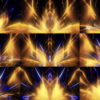 Beauty-Flower-Golden-Ice-Abstract-UltraHD-VJ-Loop-Video-Art-X2-peitsy-1920 VJ Loops Farm