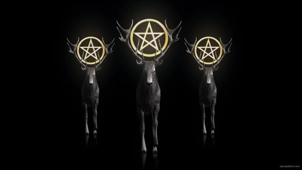 Stag-Three-Deers-with-Holly-Pentagram-isolated-on-Black-Ultra-HD-VJ-Loop-aslv4u-1920_001 VJ Loops Farm