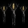 vj video background Stag-Three-Deers-with-Holly-Pentagram-isolated-on-Black-Ultra-HD-VJ-Loop-aslv4u-1920_003