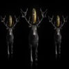 Stag-Three-Deers-with-Holly-Pentagram-isolated-on-Black-Ultra-HD-VJ-Loop-aslv4u-1920_008 VJ Loops Farm