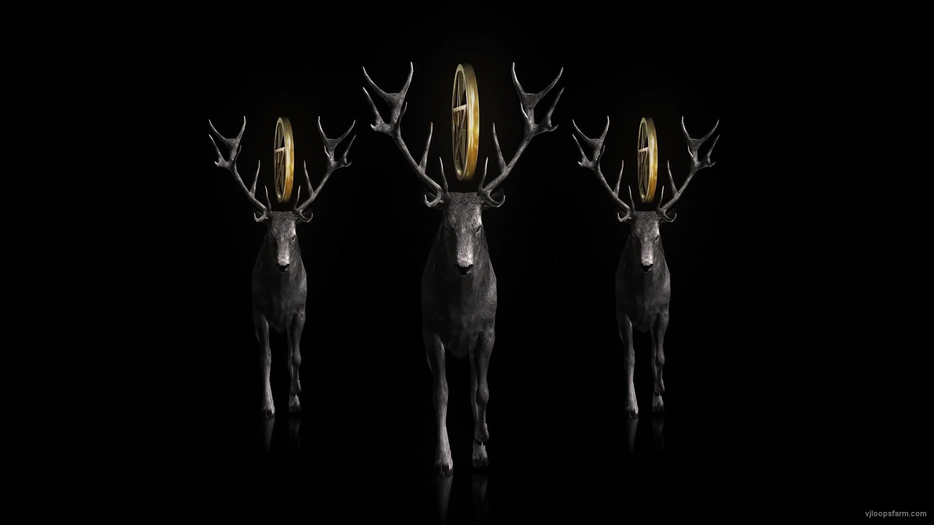 Stag Three Deers with Holly Pentagram isolated on Black Ultra HD VJ Loop