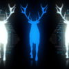 Stag-Three-Deers-with-strobing-effects-in-blue-white-color-4K-VJ-Loop-wsnjuo-1920_009 VJ Loops Farm