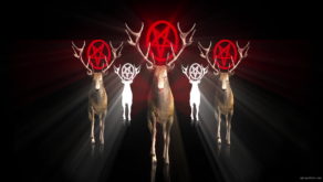 Stag-five-Deers-with-strobing-pentagram-red-effects-4K-VJ-Loop-wilupd-1920_002 VJ Loops Farm