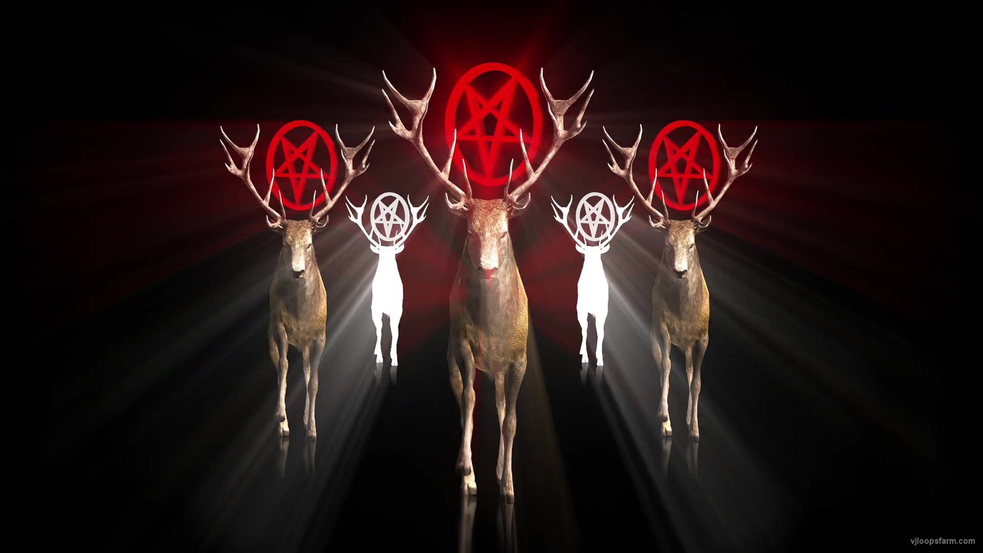 Stag-five-Deers-with-strobing-pentagram-red-effects-4K-VJ-Loop-wilupd-1920_002 VJ Loops Farm
