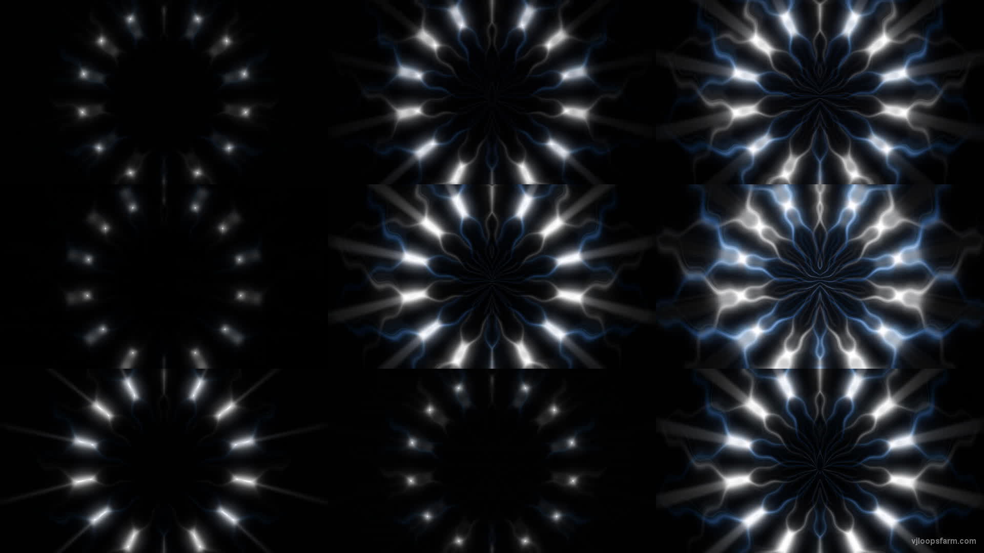 Blue White Video Art Cyber Flower blinking UHD VJ Loop