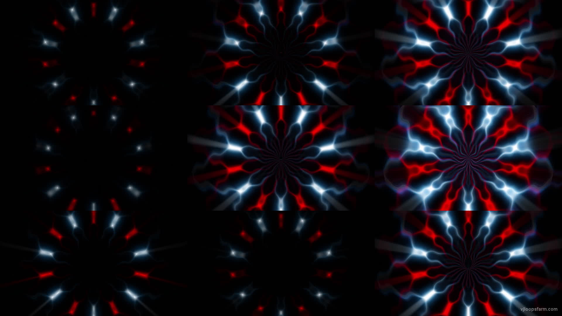 Red-Blue Digital Cyber Flower UHD VJ Loop